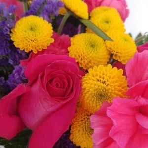 Meet your Posher, Daniela